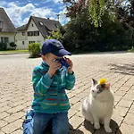 Gaestehaus Obsthof Guest house
