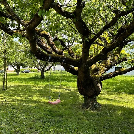 Gaestehaus Obsthof 3* Gottenheim