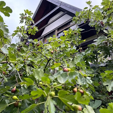 Πανσιόν Gaestehaus Obsthof