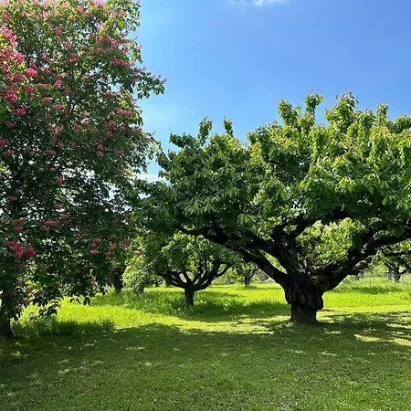 Gaestehaus Obsthof Πανσιόν 3*