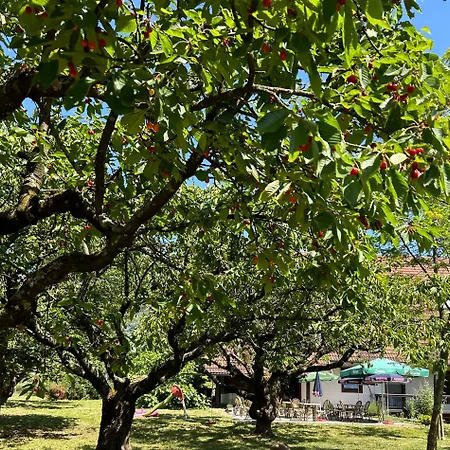 Gaestehaus Obsthof Πανσιόν Gottenheim