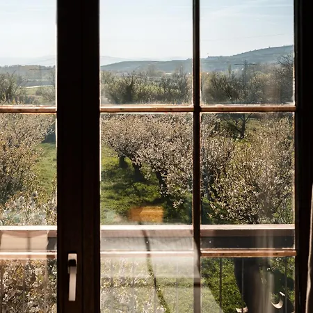 Gaestehaus Obsthof Πανσιόν