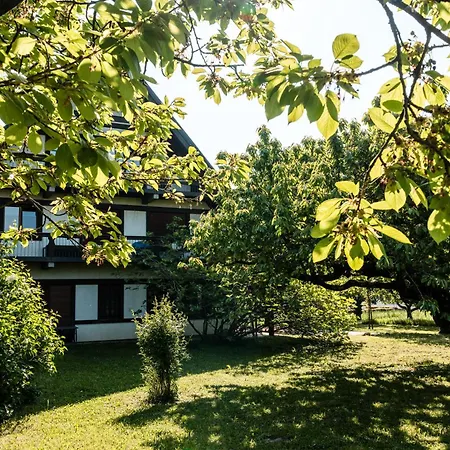 Gaestehaus Obsthof Gottenheim